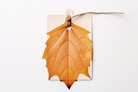 Price tag paper label autumn leaf shape plant tree hanging. AI generated Image by rawpixel.