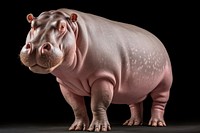 Hippopotamus wildlife animal mammal. AI generated Image by rawpixel.