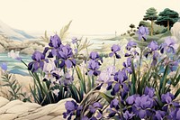 Flat lay view of japanese iris garden flower outdoors blossom. AI generated Image by rawpixel.