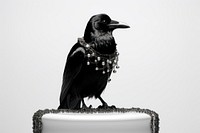 Bird jewelry animal accessories. AI generated Image by rawpixel.