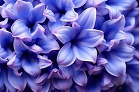 Hyacinth backgrounds flower blue. AI generated Image by rawpixel.