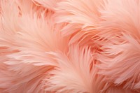 Pampas backgrounds accessories accessory. AI generated Image by rawpixel.