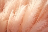 Pampas backgrounds bird lightweight. AI generated Image by rawpixel.