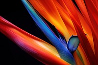 Bird of paradise backgrounds pattern flower. AI generated Image by rawpixel.