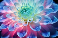 Light neon flower backgrounds dahlia petal. AI generated Image by rawpixel.