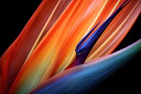 Bird of paradise backgrounds pattern flower. AI generated Image by rawpixel.