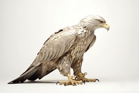 Eagle buzzard animal bird. AI generated Image by rawpixel.