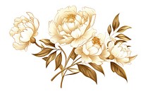 Peonie drawing flower pattern. AI generated Image by rawpixel.