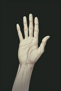 Illustration of a hand finger glove monochrome. AI generated Image by rawpixel.