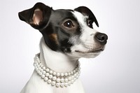 Jack russel jewelry necklace animal. AI generated Image by rawpixel.