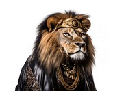 Lion animal accessories wildlife. AI generated Image by rawpixel.