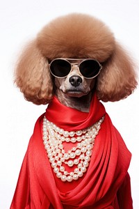 Poodle animal pet accessories. AI generated Image by rawpixel.