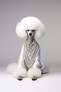 Poodle jewelry animal mammal. AI generated Image by rawpixel.