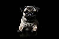 Pug jewelry necklace animal. AI generated Image by rawpixel.