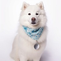 Samoyed animal pet accessories. AI generated Image by rawpixel.