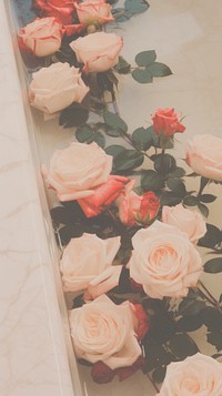 Roses sink flower plant petal. AI generated Image by rawpixel.