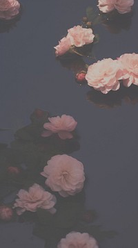 Flowers sink petal plant rose. AI generated Image by rawpixel.