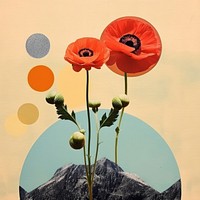 Collage Retro dreamy of flower minimal poppy plant inflorescence. AI generated Image by rawpixel.