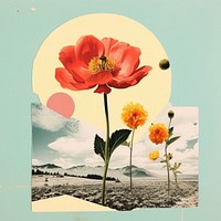 Collage Retro dreamy of flower minimal outdoors poppy plant. AI generated Image by rawpixel.