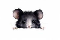 Peeking black Hamster rat hamster animal. AI generated Image by rawpixel.