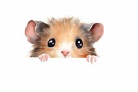 Peeking black Hamster hamster animal rodent. AI generated Image by rawpixel.