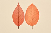 Autumn leaves plant petal leaf. AI generated Image by rawpixel.