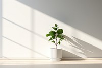 Greenery windowsill shadow plant. AI generated Image by rawpixel.