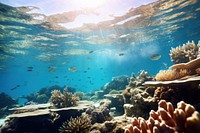 Great barrier reef underwater nature sunlight outdoors. AI generated Image by rawpixel.
