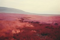 A minimal-large a dry land landscape outdoors. AI generated Image by rawpixel.