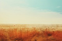 A minimal-large a dry landscape grass grassland. AI generated Image by rawpixel.