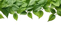 Border of leaves backgrounds plant green. AI generated Image by rawpixel.