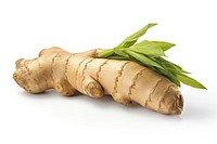 Ginger vegetable plant food leaf. AI generated Image by rawpixel.