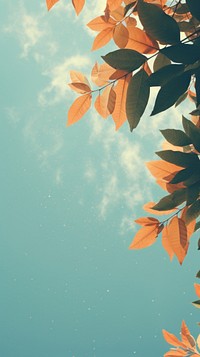 Leaves and sky sunlight outdoors nature. AI generated Image by rawpixel.