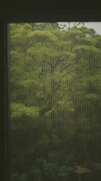 Window view outdoors nature forest. AI generated Image by rawpixel.