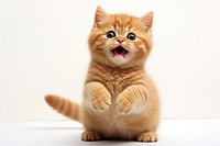 A baby golden cat mammal animal kitten. AI generated Image by rawpixel.