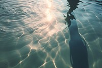 Aesthetic background underwater swimming outdoors. AI generated Image by rawpixel.