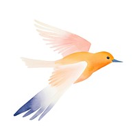 Bird animal white background hummingbird. AI generated Image by rawpixel.