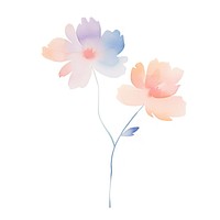 Flowers petal plant white background. AI generated Image by rawpixel.