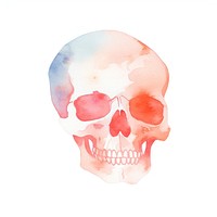 Skull white background creativity anatomy. AI generated Image by rawpixel.