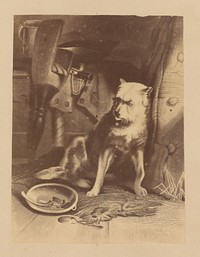 Fotoreproductie van een prent met hond op een kleed bij een bord met afgekloven botten (1875) by anonymous and anonymous