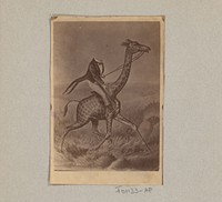 Fotoreproductie van een prent met een man zonder hoofd een giraffe berijdend (1887 - 1888) by Marinus Pieter Filbri and anonymous