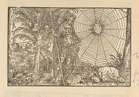 Minerva als strijder bij een spinnenweb met spin (1514 - 1532) by anonymous and Hans Weiditz II