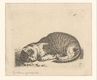 Slapende poes (1617 - 1681) by Cornelis Saftleven and Hendrik de Leth