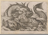 Twee vechtende vissen (1600) by Antonio Tempesta, Nicolaus van Aelst, Clemens VIII, Nereo Dracomannio and Antonio Tempesta