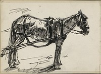 Trekpaard (1877 - 1932) by Marius Bauer