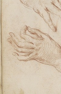 Twee handen (1710 - 1772) by Petrus Johannes van Reysschoot