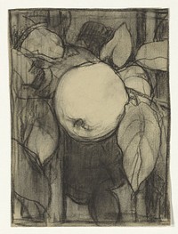 Keizer-Alexander appel (1920 - 1924) by Jac van Looij