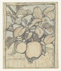 Keizer Alexander-appels (1920 - 1924) by Jac van Looij