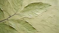 Leaf plant wall backgrounds.