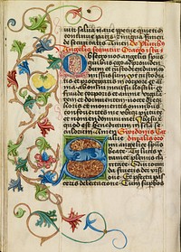Decorated Initial S by Valentine Noh